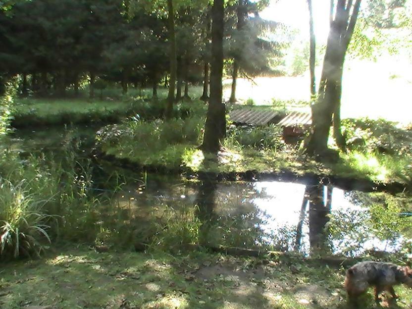 Gite De La Baerenbach Haselbourg Kültér fotó